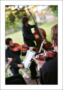 austin wedding bands with strings attached